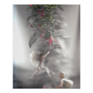 Poster Fées 3