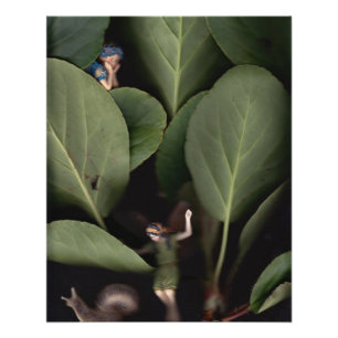 Poster Fées 7
