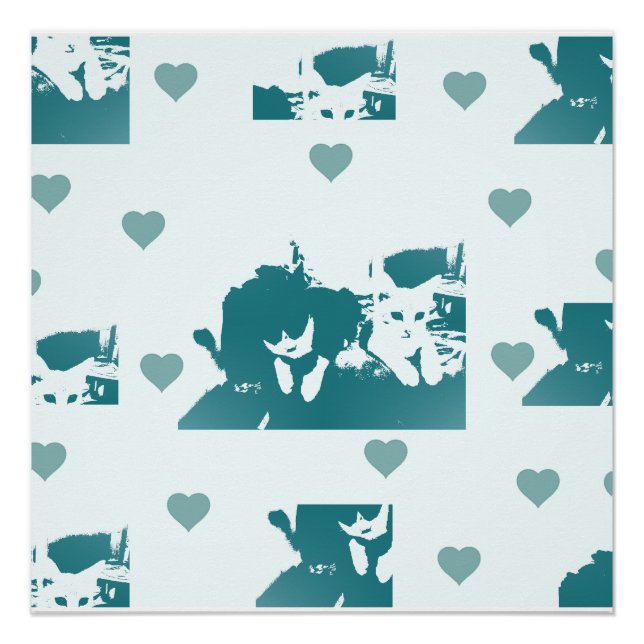 Poster Feline Friends. Adorable Kitten Duo. (Devant)