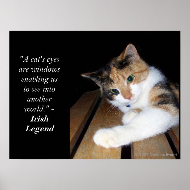 Poster Fenêtre des yeux de chats vers un autre monde (Devant)