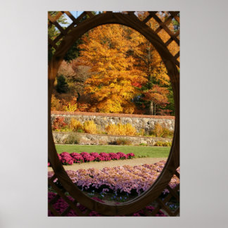 Poster Fenêtre Jardin