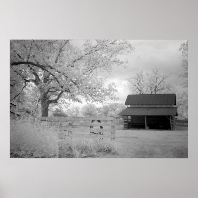 Poster Ferme Meadowbank (Devant)