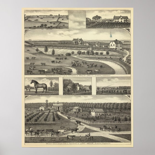 Poster Fermes à Vent, Nebraska (Devant)