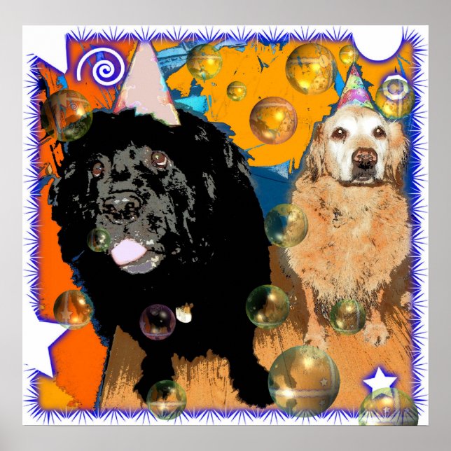 Poster Fêtez ! (Devant)