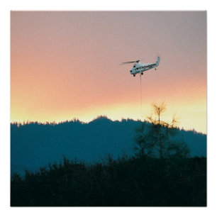 Poster Feu de Wallows de 2007...