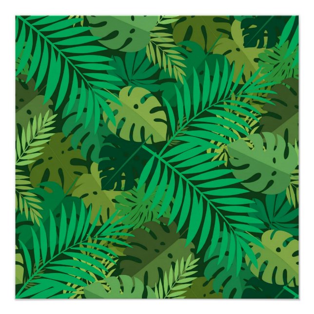 Poster Feuillage luxuriant de la jungle tropicale (Devant)