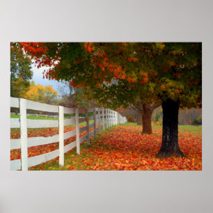 Poster Feuille d'automne