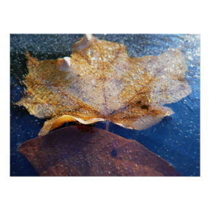 Poster Feuille de érable jaune gelée Automne Nature