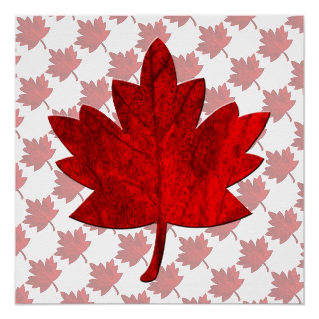 Poster Feuille d'érable du Canada par Shirley Taylor (Devant)