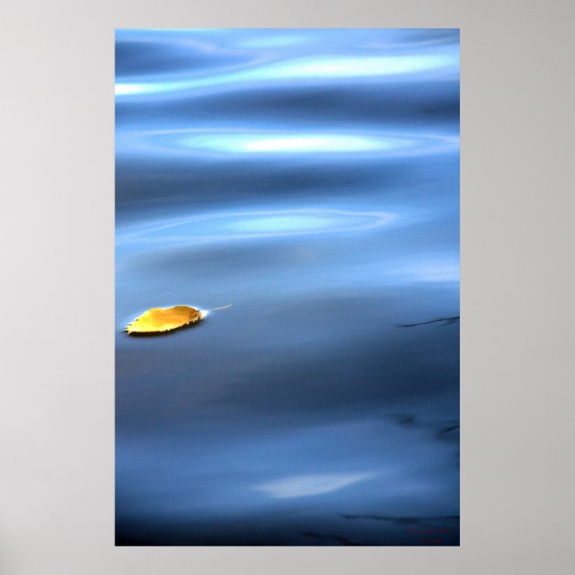 Poster Feuille flottante sur l'eau # 111 (Devant)