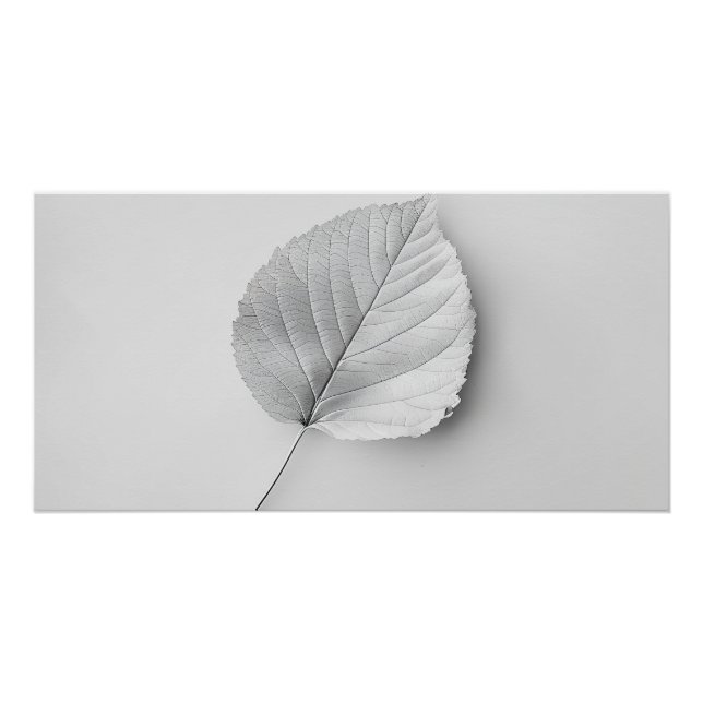Poster Feuille Minimaliste Monochrome (Devant)