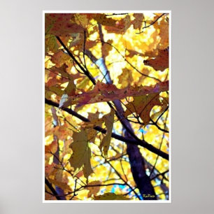 Poster Feuilles d'automne Arbres d'automne soleil