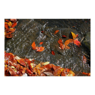 Poster Feuilles d'automne dans la cascade I Photographie