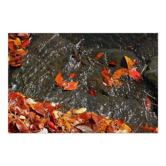 Poster Feuilles d'automne dans la cascade I Photographie  (Devant)