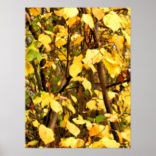 POSTER FEUILLES D'AUTOMNE JAUNE