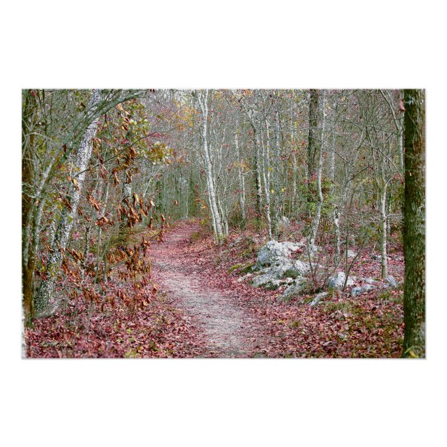 Poster Feuilles d'automne roses sentier Goat Rock Arkansa (Devant)