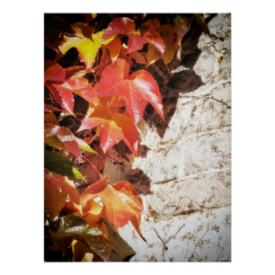Poster feuilles dorées dans l'eau
