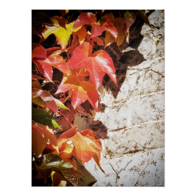 Poster feuilles dorées dans l'eau (Devant)