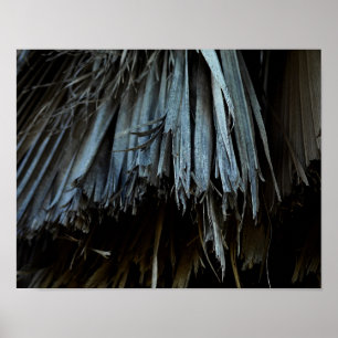 Poster Feuilles Palm Tree