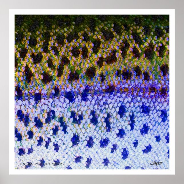 Poster FFF de truite arc-en-ciel (Devant)