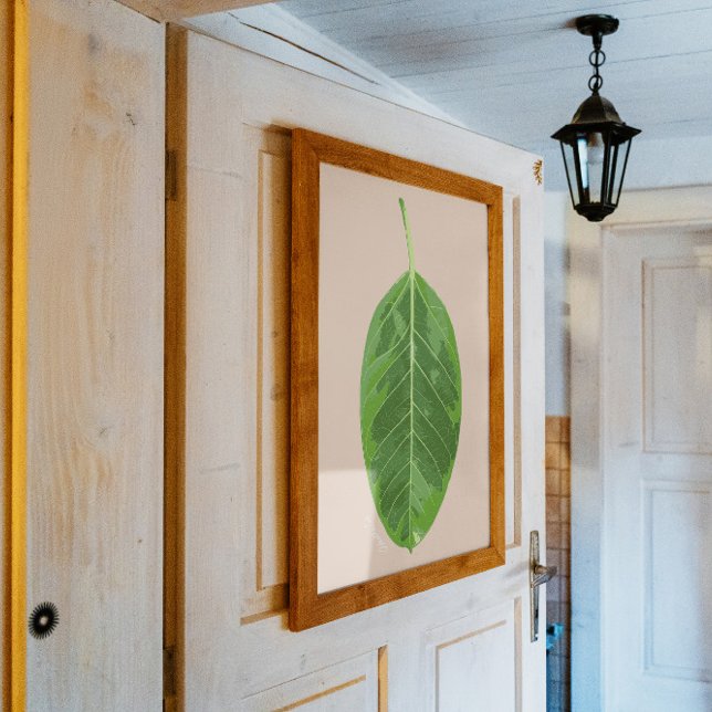 Poster Ficus altissima feuille de 'Gem jaune' (Créateur téléchargé)