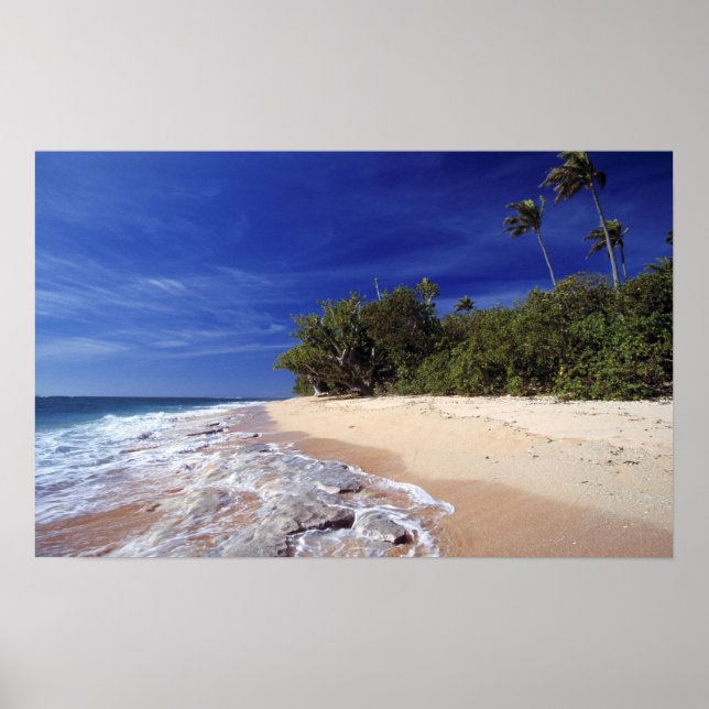 Poster Fidji, Tavarua. Cette plage de Tavarua (Devant)