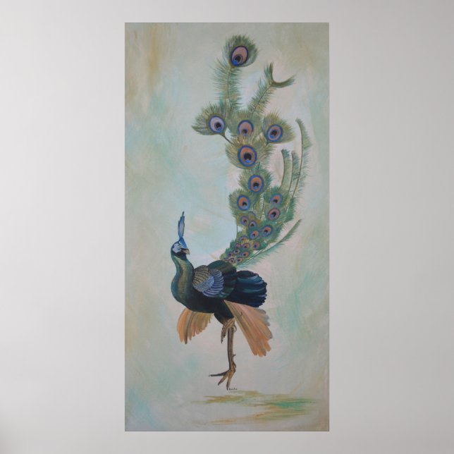 Poster Fière Comme Un Peacock Colorful Courtship Display (Devant)