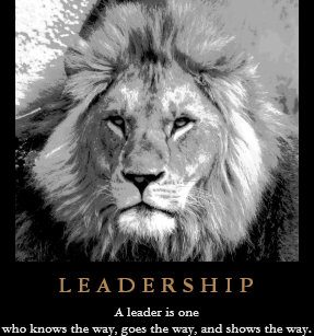 Posters Affiches Toiles Citation Lion Zazzle Fr