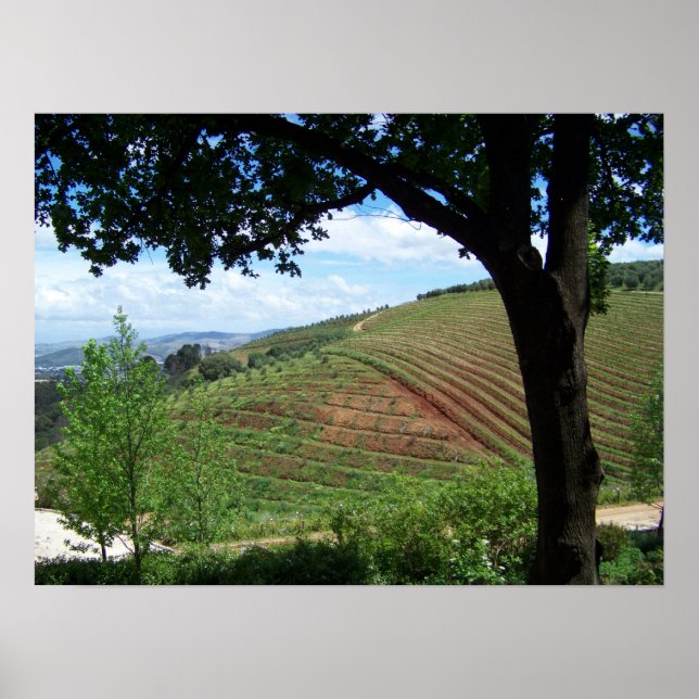 Poster Fierté viticole (Devant)