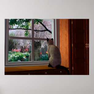 Poster Fièvre du printemps