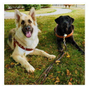 Poster Filles de travail