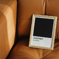 Film Panther Noir - Bordure Blanche