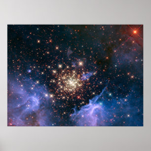 Poster Fireworks dans l'espace