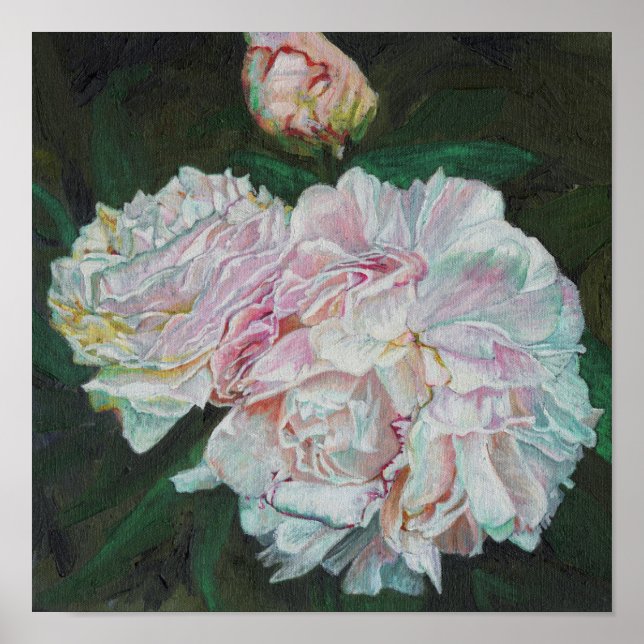 Poster First blooms 2012 (Devant)