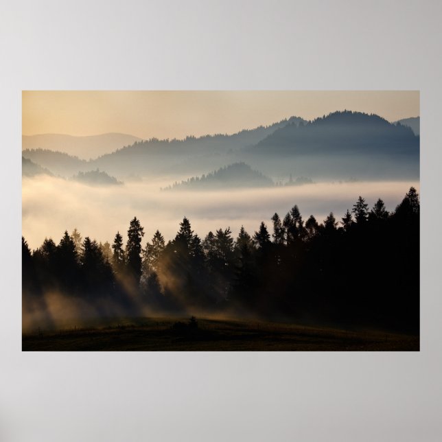 Poster First Light (Devant)