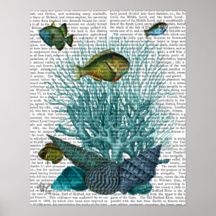 Poster Fish Blue Shells and Corals