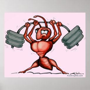 Poster Fitness Diva