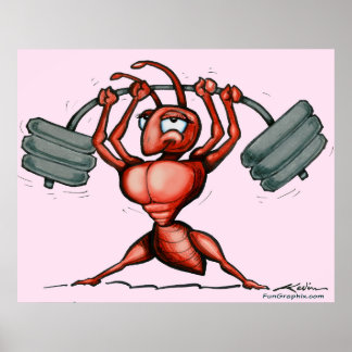 Poster Fitness Diva