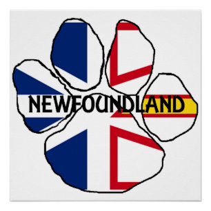 Poster Flag_and_Labrador flag name paw