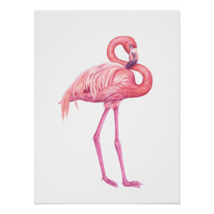POSTER FLAMANT ROSE 2