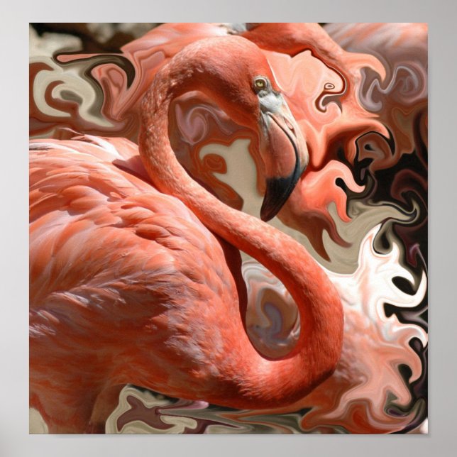 Poster Flamant rose Dreams (Devant)