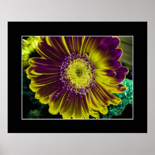 Poster Fleur Dahlia Jaune Art Abstrait (Devant)