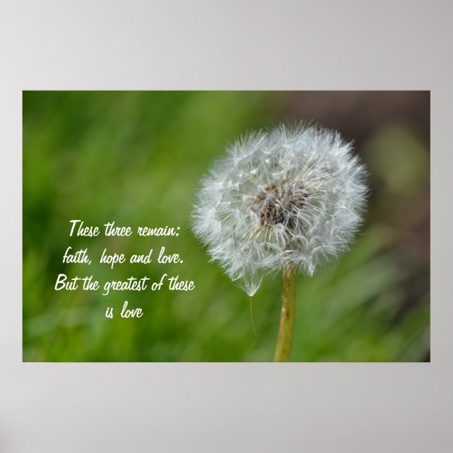 Poster Fleur Dandelion (Devant)