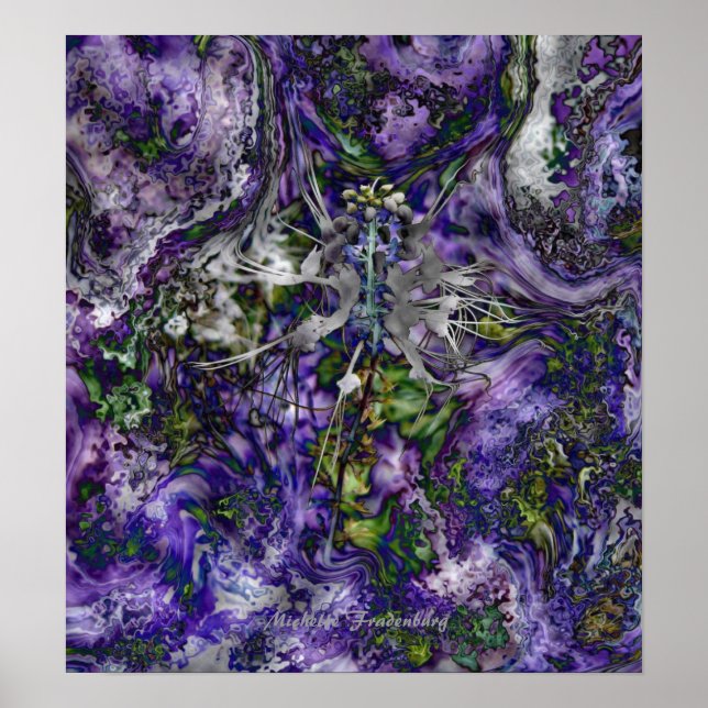 Poster Fleur d'araignée (Devant)