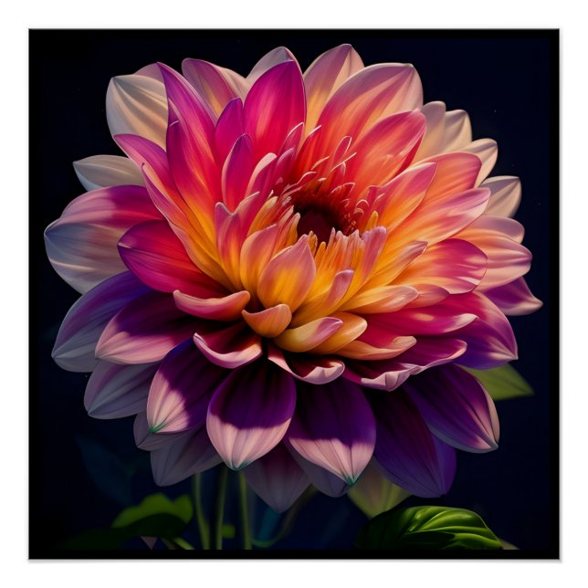 Poster Fleur de dahlia rose et orange chaud (Devant)