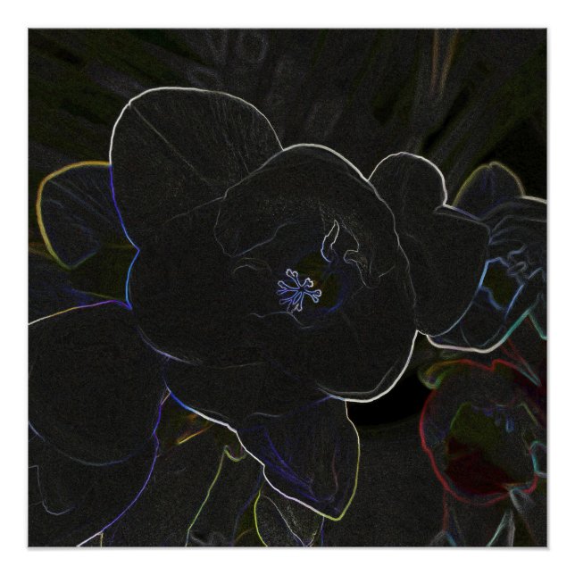 Poster fleur de la frénésie (Devant)