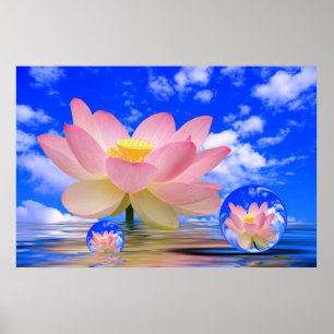 Poster Fleur de Lotus soutenue dans l'eau