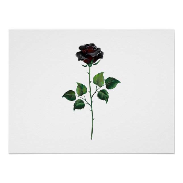 Poster Fleur de rose noire (Devant)