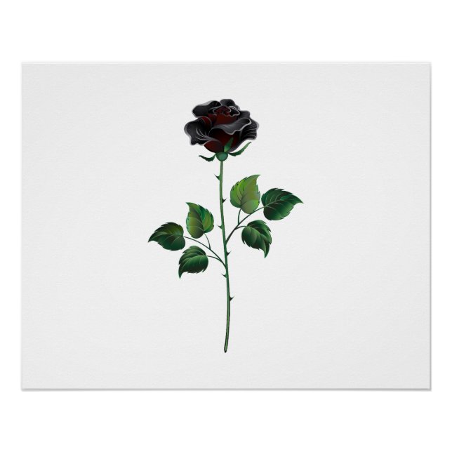 Poster Fleur de rose noire (Devant)