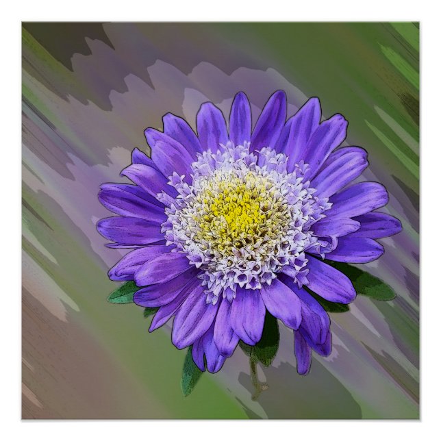 Poster fleur de violet bleu (Devant)
